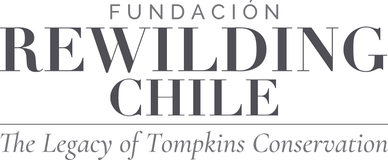 Fundación Rewilding Chile